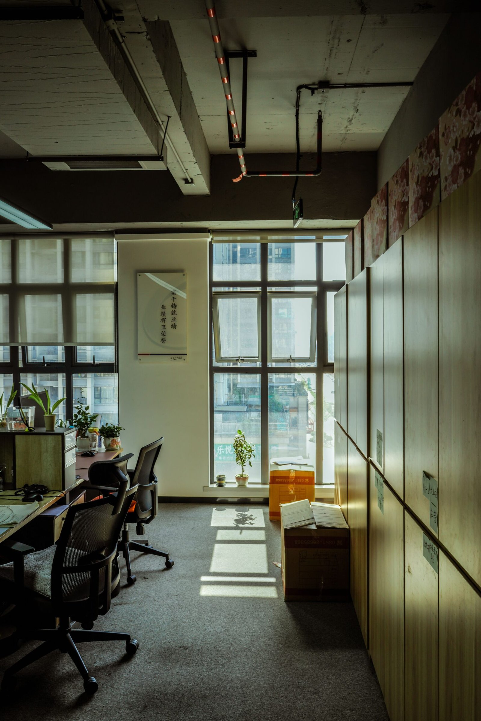 Businesses Managing Portfolios